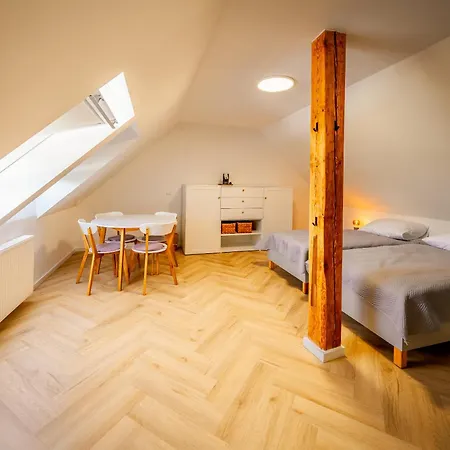 Appart hôtel - Z Pomostem I Prywatnym Dostepem Do Jeziora Borowy Mlyn