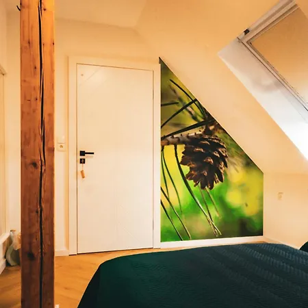 Appart hôtel - Z Pomostem I Prywatnym Dostepem Do Jeziora Borowy Mlyn
