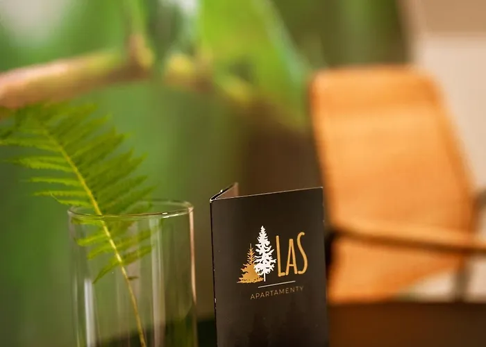 شقة فندقية - Z Pomostem I Prywatnym Dostepem Do Jeziora Borowy Mlyn