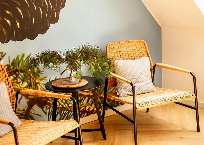 - Z Pomostem I Prywatnym Dostepem Do Jeziora شقة فندقية Borowy Mlyn