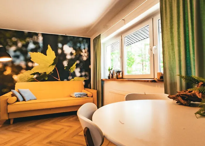 - Z Pomostem I Prywatnym Dostepem Do Jeziora Borowy Mlyn